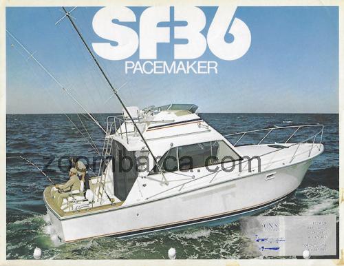 Pacemaker 36 recensioni e scheda tecnica